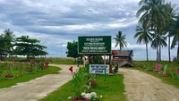 Pantai ini terletak di Dusun Mampie, Desa Galeso, Kecamatan Wonomulyo, Kabupaten Polewali Mandar. Traveler bisa pakai motor maupun mobil selama 30 menit dari kota. (Abdy Fabriady/detikTravel)
