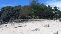 Pantai Porok juga dijadikan sebagai tempat kemping juga. (Pradito Rida Pertana/detikTravel)