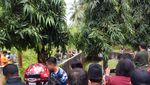 Detik-detik Menegangkan Evakuasi Buaya 600 Kg Pemakan Orang