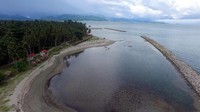 Masalah utama yang dihadapi Pantai Mampie adalah abrasi. Pengelola pantai pun meminta pemerintah memberi perhatian, karena jika persoalan abrasi ini tidak cepat ditangani, maka bukan tidak mumgkin Pantai Mampie yang dikenal akan panorama alamnya perlahan akan hilang. (Abdy Fabriady/detikTravel)