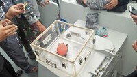 CVR Lion Air PK LQP ditemukan pada pukul 09.10 WIB. Lokasinya ada di kedalaman laut 30 meter dan tertutup lumpur setinggi 8 meter (Dok PUSHIDROSAL)