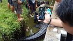 Detik-detik Menegangkan Evakuasi Buaya 600 Kg Pemakan Orang