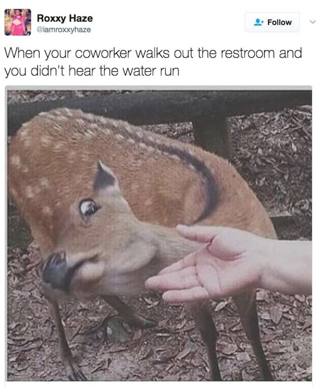 Ketika ada teman kerja yang tidak cuci tangan ingin memegang kamu di kamar mandi. Eewww! Foto: Instagram