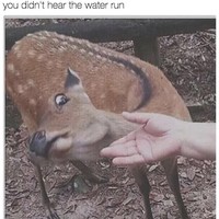 Ketika ada teman kerja yang tidak cuci tangan ingin memegang kamu di kamar mandi. Eewww! Foto: Instagram