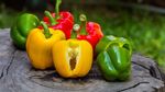13 Fakta Unik Makanan yang Perlu Kamu Tahu