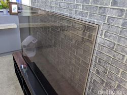 Penampakan TV Transparan yang Pukau Pengunjung CES 2019