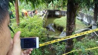 Evakuasi berjalan menegangkan sejak pukul 09.00 WITa. Tim evakuasi terdiri dari BKSDA, TNI, Polri dan warga. Mereka awalnya menyemport bius ke kepala Mery.