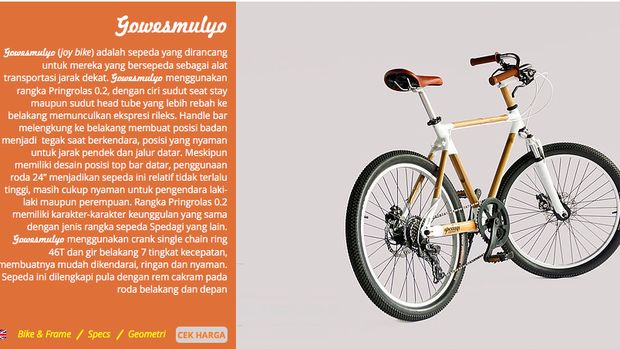 Jenis sepeda ini ditujukan untuk jarak pendek dan jalan datar.