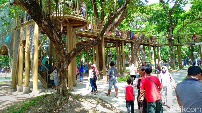 Cantiknya Wajah Baru Hutan Joyoboyo Kediri Dengan Skybridge