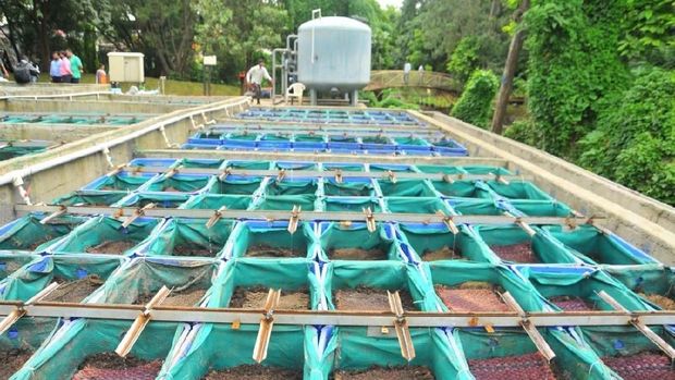 Bill Gates Sumbang Dana ke Toilet Bertenaga Cacing