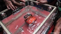 CVR yang menjadi bagian dari black box atau kotak hitam pesawat Lion Air PK-LQP dengan nomor penerbangan JT-610 rute Jakarta-Pangkal Pinang itu ditemukan oleh penyelam Serda Satria Margono.