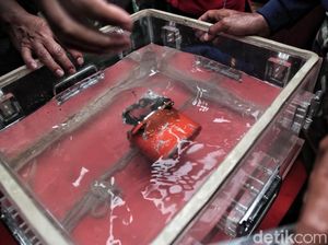 KNKT Sudah Download CVR Lion Air PK-LQP, Total Rekaman 124 Menit