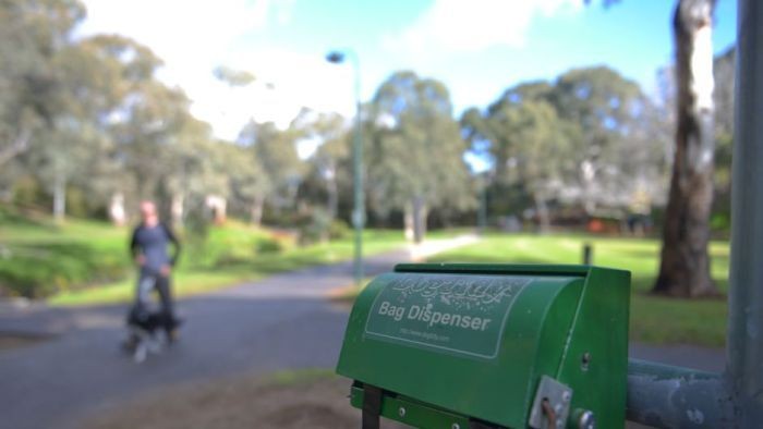 Minim Toilet, Turis Pulau Ini Disarankan Bawa Kantong Kotoran Anjing