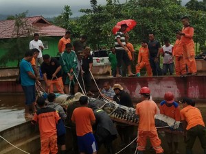 Tak Mudah Cari Penampungan untuk Buaya Raksasa Pemangsa Manusia