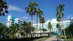 Berkeliling di Disney Hollywood Hotel