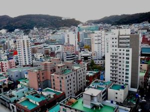 Bangun Ibu Kota Baru, RI Tiru Gaya Busan