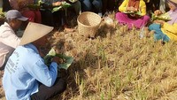 Lewat instagramnya, Mbak Yuni kerap pamer berbagai kegiatan bersama warganya. Seperti momen ketika Mbak Yuni asyik makan di tengah sawah padi bersama petani. Foto: instagram @mbakyuni_sragen