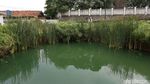 Taman Piknik, Tempat Pembuangan Sampah Yang Disulap Jadi Indah