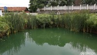 Ada danau di lokasi taman ini.