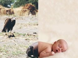 Penggabungan Dua Foto yang Bikin Hati Terenyuh