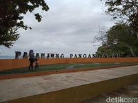 Pangandaran Punya Ratu Monyet Tercantik dan Suka Ngaca