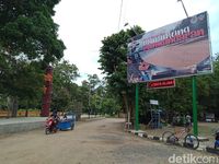 Pangandaran Punya Ratu Monyet Tercantik dan Suka Ngaca