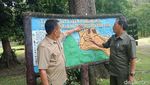 Pangandaran dan Ratu Hutan Tercantiknya dalam Foto