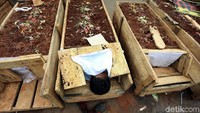 Di atas makam itu juga ditaburi aneka kembang. 