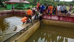 Wow! Sebesar Ini Buaya 600 Kg yang Makan Orang di Sulut
