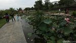 Taman Piknik, Tempat Pembuangan Sampah Yang Disulap Jadi Indah