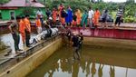 Wow! Sebesar Ini Buaya 600 Kg yang Makan Orang di Sulut