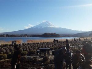 Menikmati Musim Dingin di Jepang yang Ramah Muslim