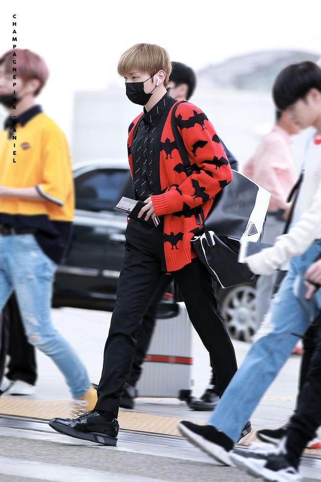 Kang Daniel dikenal sebagai salah satu artis Korea paling fashionable. Ia pun sering mengenakan busana keluaran brand kenamaan bahkan di keseharian. Saat di airport, Daniel selalu terlihat maksimal dengan beragam barang mahalnya. Kali ini, Daniel memakai tas Prada Rp 31 jutaan, sepatu Prada Rp 7 jutaan, kemeja Balenciaga Rp 8 jutaan dan kardigan Gucci Rp 19 jutaan. Foto: Fansite