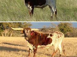 Kumpulan Foto Perbandingan yang Membuka Pikiran