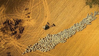 Karya finalis Photographersworld. Foto: Ultralink