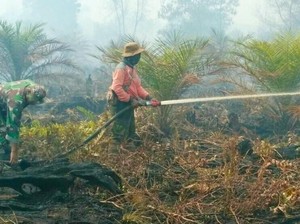 Karhutla di Dumai dan Singkawang Berhasil Dipadamkan