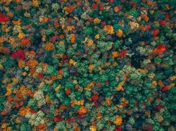 Jawara Kontes Foto Drone yang Memukau Mata