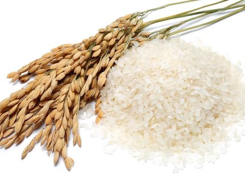 7 Makna Sajian Nasi Tumpeng, Sajian Populer 17 Agustus