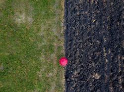 Jawara Kontes Foto Drone yang Memukau Mata