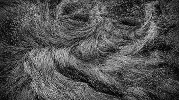 Karya finalis  Germany Photographersworld. Foto: Ultralink