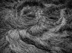 Jawara Kontes Foto Drone yang Memukau Mata