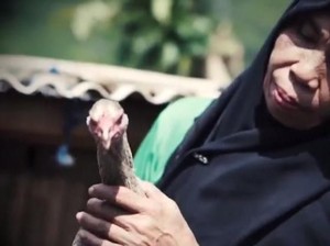 Cerita Buruh Tani Sukses Bisnis Telur
