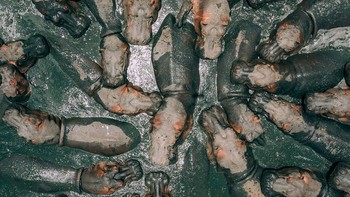 Juara pertama diraih Zekerdrone yang memotret kuda nil yang tengah mandi. Foto: Ultralink