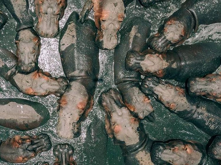 Jawara Kontes Foto Drone yang Memukau Mata