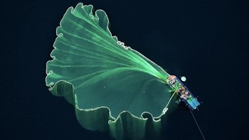 Juara kedua diraih Trung Pham. Foto: Ultralink