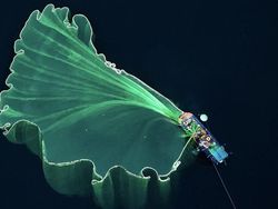 Jawara Kontes Foto Drone yang Memukau Mata