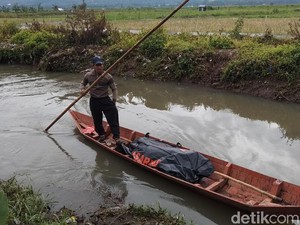 Mayat Pria yang Sudah Membusuk Ditemukan di Rawa Pening