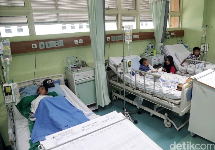 Foto: Pradita Utama Foto: Pradita Utama