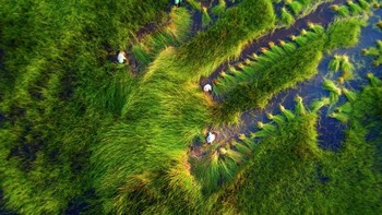 Karya finalis Tuan Nguyen. Foto: Ultralink