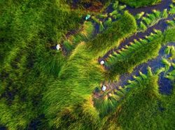 Jawara Kontes Foto Drone yang Memukau Mata